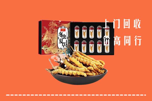 洛浦县回收虫草